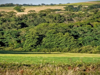 Holiday house Holiday Home in Grury with Pool & Garden - Environment photo 27