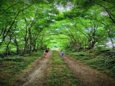 Holiday house Holiday Home in Grury with Pool & Garden - Environment photo 29