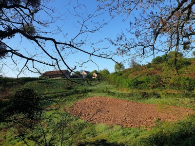 Holiday house Holiday Home in Grury with Pool & Garden - Environment photo 30
