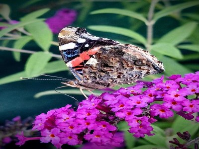 Holiday house Holiday Home in Grury with Pool & Garden - Outdoor photo 40