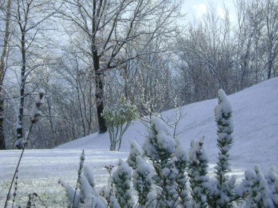 Holiday house Hütte in Italien mit Alpenkamin - Environment photo 35