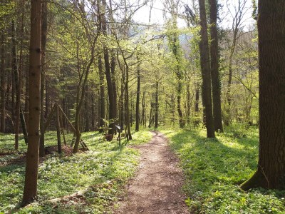 Holiday apartment - No title - - Environment photo 33