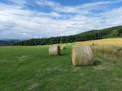 Holiday apartment - No title - - Environment photo 39