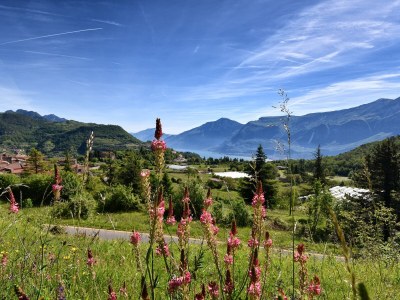 Holiday apartment Casa Runsel Bonassi - Environment photo 28