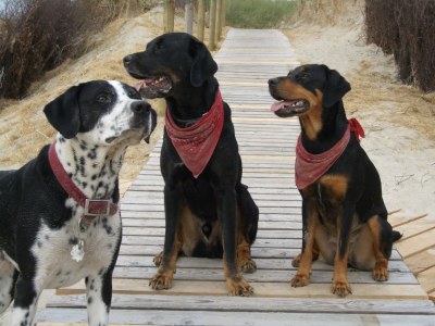 Holiday house Friesenstraße - Environment photo 25