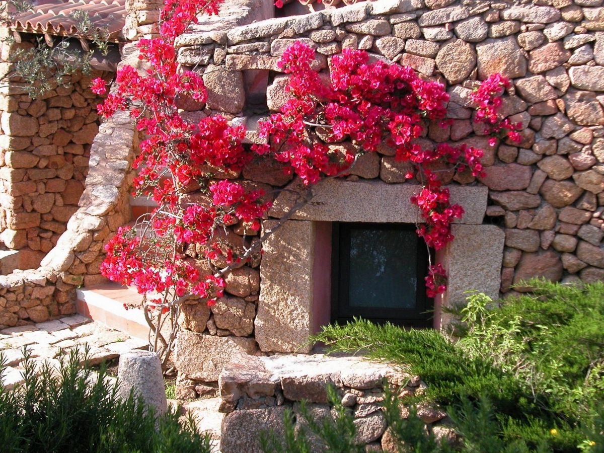 Holiday apartment L'Ea di Lavru - Apt 2 - Outdoor photo 3