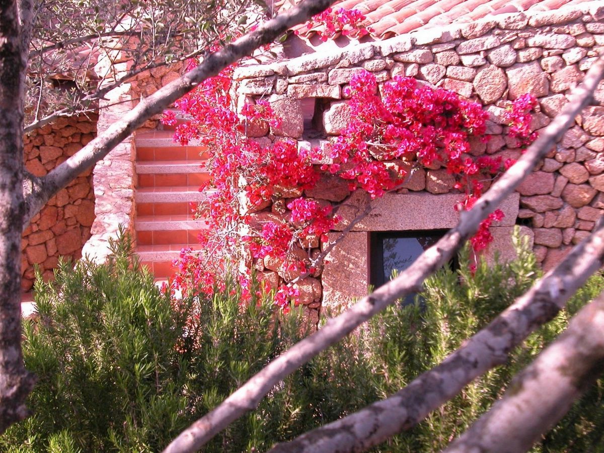 Holiday apartment L'Ea di Lavru - Apt 2 - Outdoor photo 4