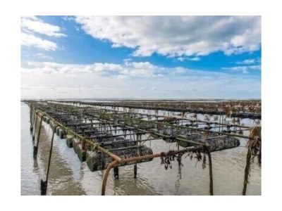 Holiday house Les Dunes - Environment photo 17