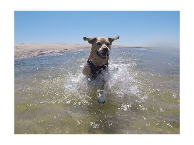 Holiday house Les Dunes - Environment photo 19