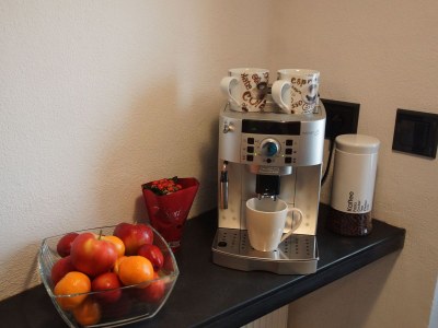 Holiday apartment Napoleone sur Moselle - Outdoor photo 10