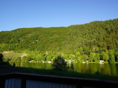 Holiday apartment Napoleone sur Moselle - Outdoor photo 14