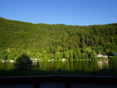 Holiday apartment Napoleone sur Moselle - Outdoor photo 15