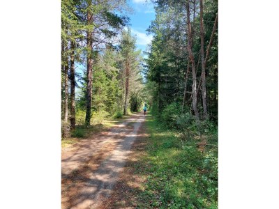 Holiday apartment Eberl Michael - Environment photo 30