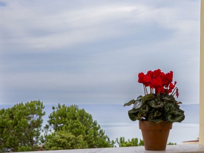 Holiday apartment Reale - Environment photo 28