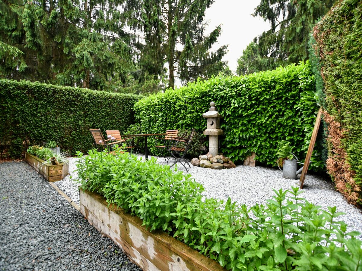 Chalet Chalet in Veluwe near Sauna Drôme - Outdoor photo 2