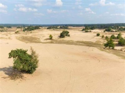 Chalet Chalet in Veluwe near Sauna Drôme - Environment photo 35