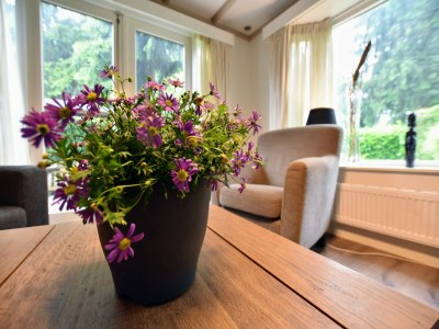 Chalet Chalet in Veluwe near Sauna Drôme - Outdoor photo 39