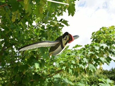 Holiday house Sea View Stay in Quinéville - Outdoor photo 35