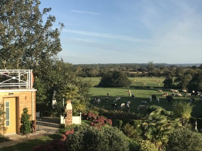 Holiday house Sea View Stay in Quinéville - Outdoor photo 37