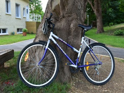 Holiday house Sea View Stay in Quinéville - Outdoor photo 38