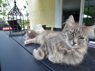 Holiday house Sea View Stay in Quinéville - Outdoor photo 39