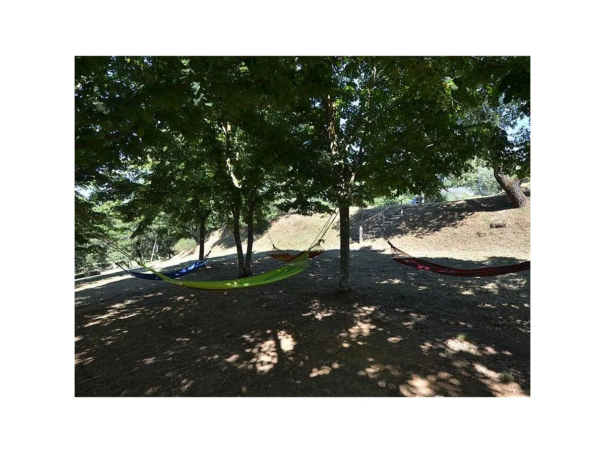 Holiday house Podere Annamaria - Outdoor photo 4