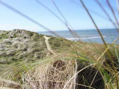 Holiday apartment Residence Juliana 69 - Environment photo 19