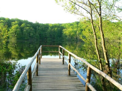 Holiday apartment at rügen - Environment photo 15