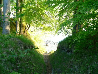 Holiday apartment at rügen - Environment photo 17