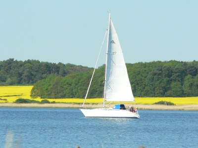 Holiday apartment at rügen - Environment photo 19