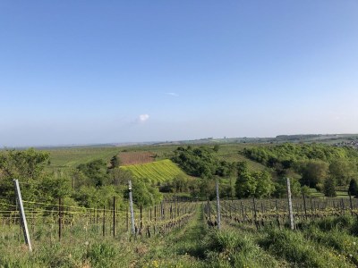 Holiday apartment L'heron bleu - Environment photo 19