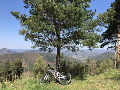 Holiday apartment L'heron bleu - Environment photo 20