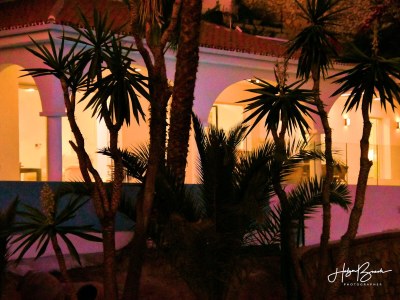 Holiday house bougainvillea - Outdoor photo 4