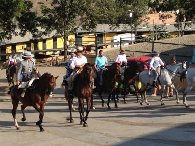 Holiday house bougainvillea - Environment photo 30