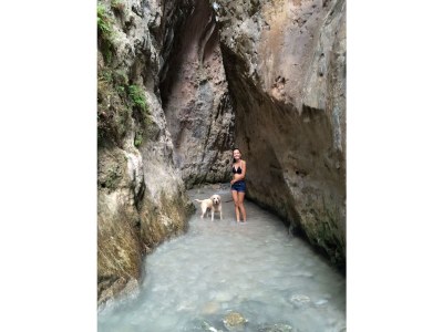 Holiday house bougainvillea - Environment photo 34