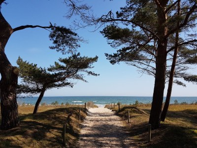 Holiday apartment Ostseeglück - Environment photo 23