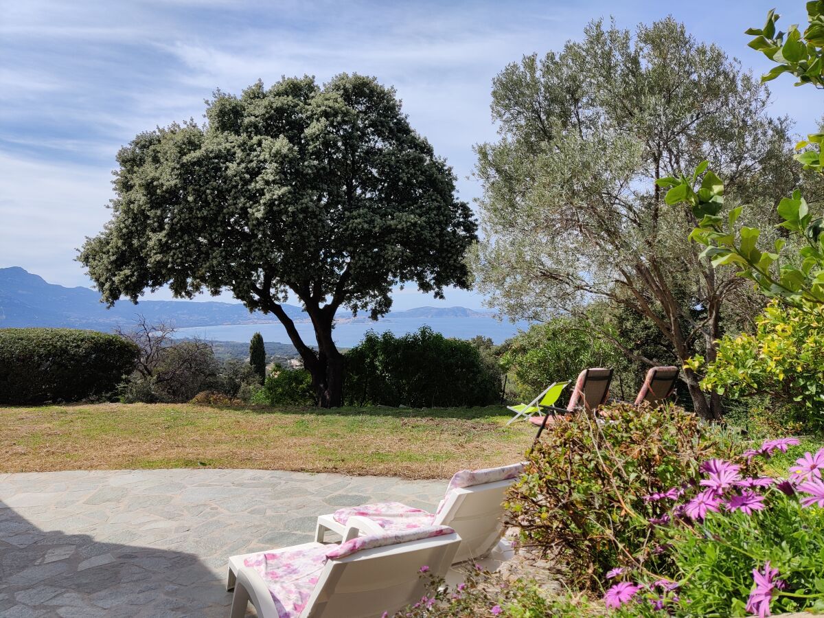 Holiday apartment Calvi-Lumio - Outdoor photo 5