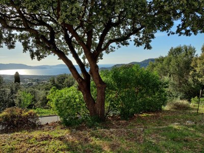 Holiday apartment Calvi-Lumio - Outdoor photo 8