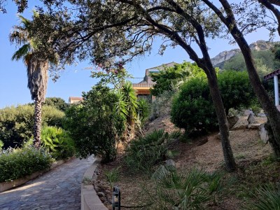 Holiday apartment Calvi-Lumio - Outdoor photo 11