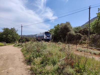Holiday apartment Calvi-Lumio - Environment photo 35