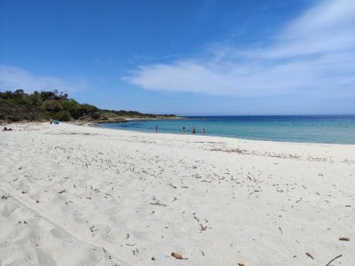 Holiday apartment Calvi-Lumio - Environment photo 36