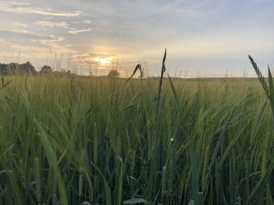 Holiday house Maack Wiesenblick - Outdoor photo 12