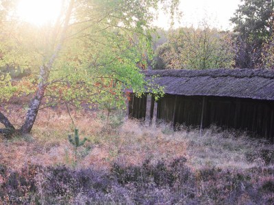 Holiday house Maack Wiesenblick - Environment photo 31