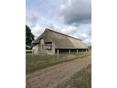 Holiday house Maack Wiesenblick - Environment photo 33