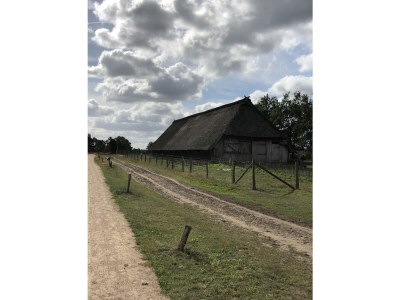 Holiday house Maack Wiesenblick - Environment photo 34