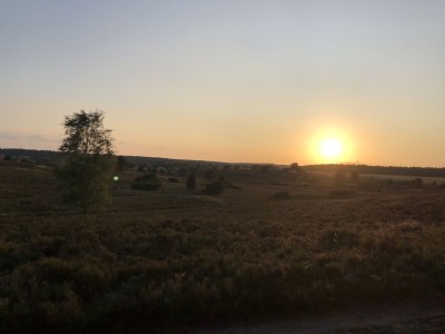 Holiday house Maack Wiesenblick - Environment photo 35