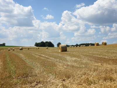 Apartment Ferienhaus in Obernburg am Edersee - Environment photo 18