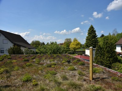 Apartment Ferienhaus in Obernburg am Edersee - Environment photo 22