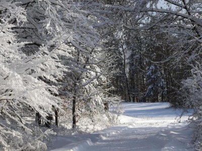 Apartment Ferienhaus in Obernburg am Edersee - Environment photo 33