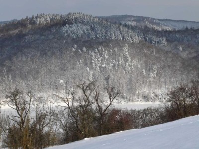 Apartment Ferienhaus in Obernburg am Edersee - Environment photo 37